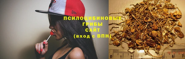 мяу мяу мука Алексеевка
