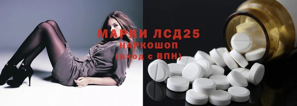 сатива Алзамай