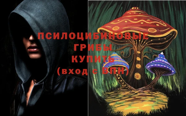 мяу мяу мука Алексеевка
